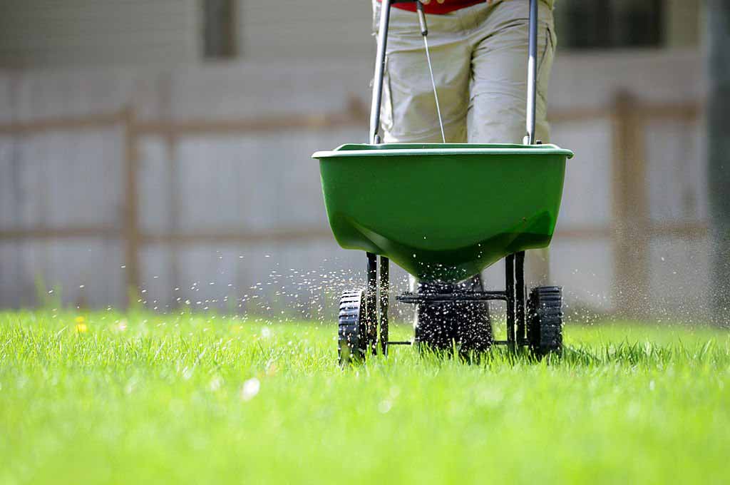 Lawn fertilization and weed control in Denton, Corinth, Highland Village, Little Elm, Flower Mound, Lewisville, The Colony, Frisco, Southlake, Ponder, Krugerville, Northlake, Bartonville, Double Oak, Aubrey, Sanger, Justin, Hackberry, Union Hill, Trophy Club, Roanoke.