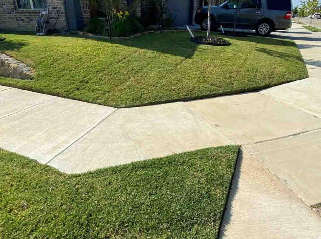 Edged and mowed grass in Denton, Corinth, Highland Village, Little Elm, Flower Mound, Lewisville, The Colony, Frisco, Southlake, Ponder, Krugerville, Northlake, Bartonville, Double Oak, Aubrey, Sanger, Justin, Hackberry, Union Hill, Trophy Club, Roanoke.